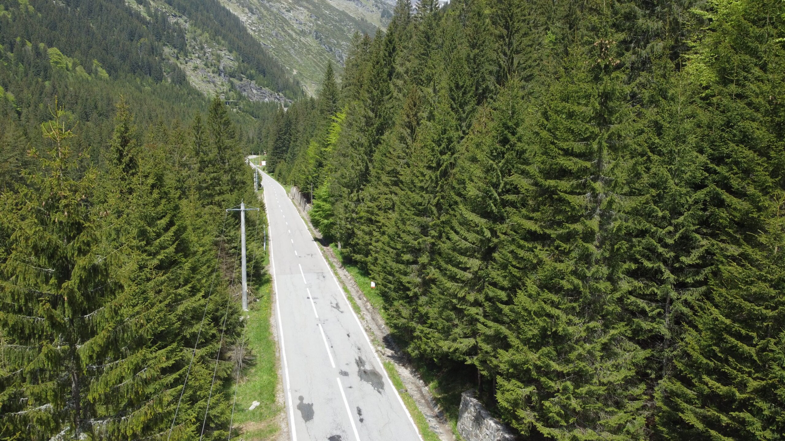 DJI_0741