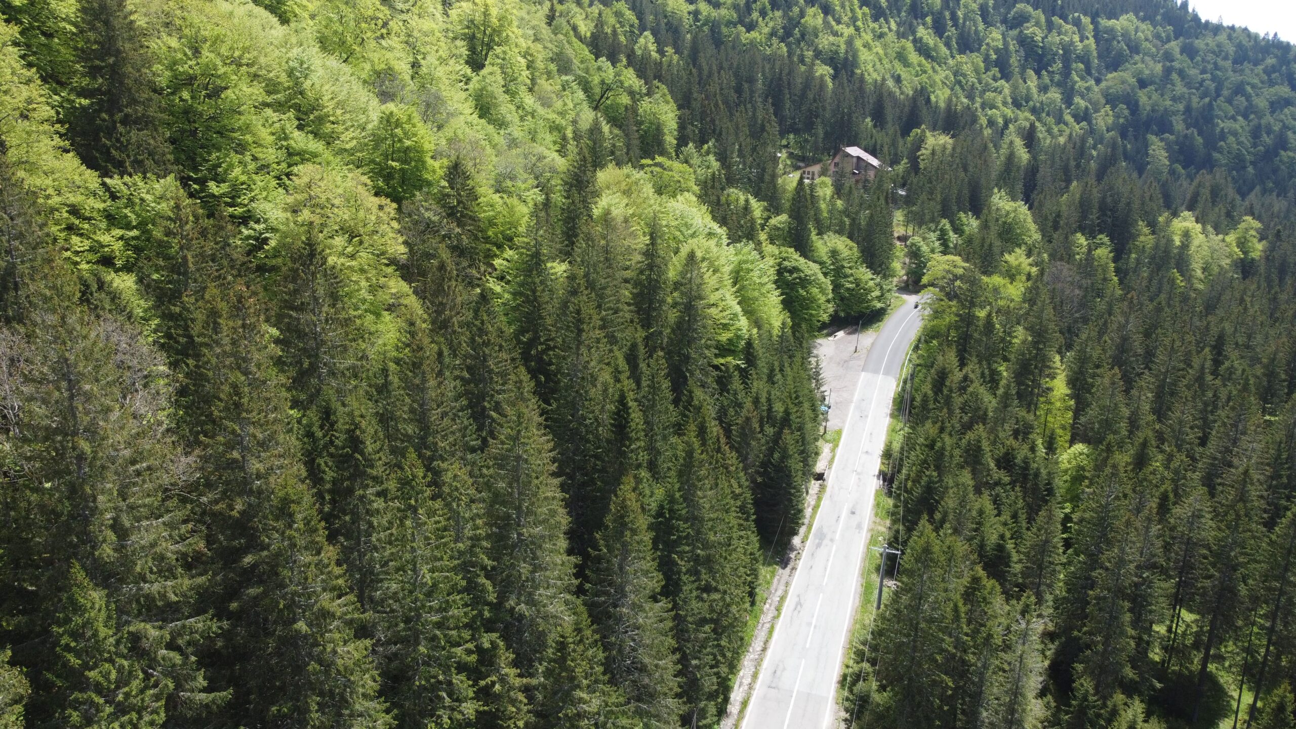 DJI_0746