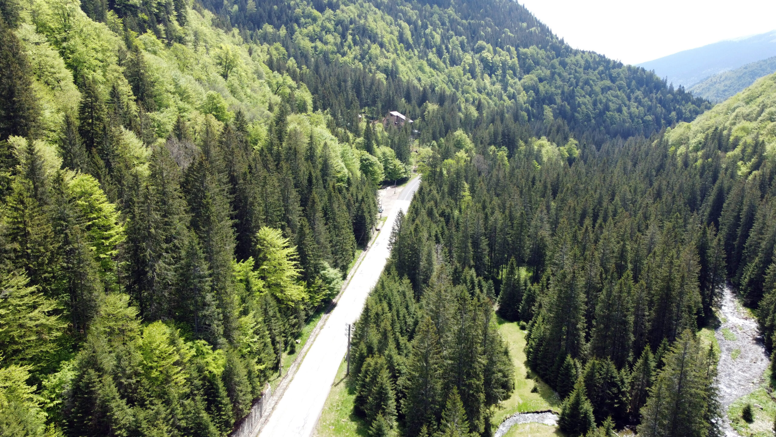 DJI_0747