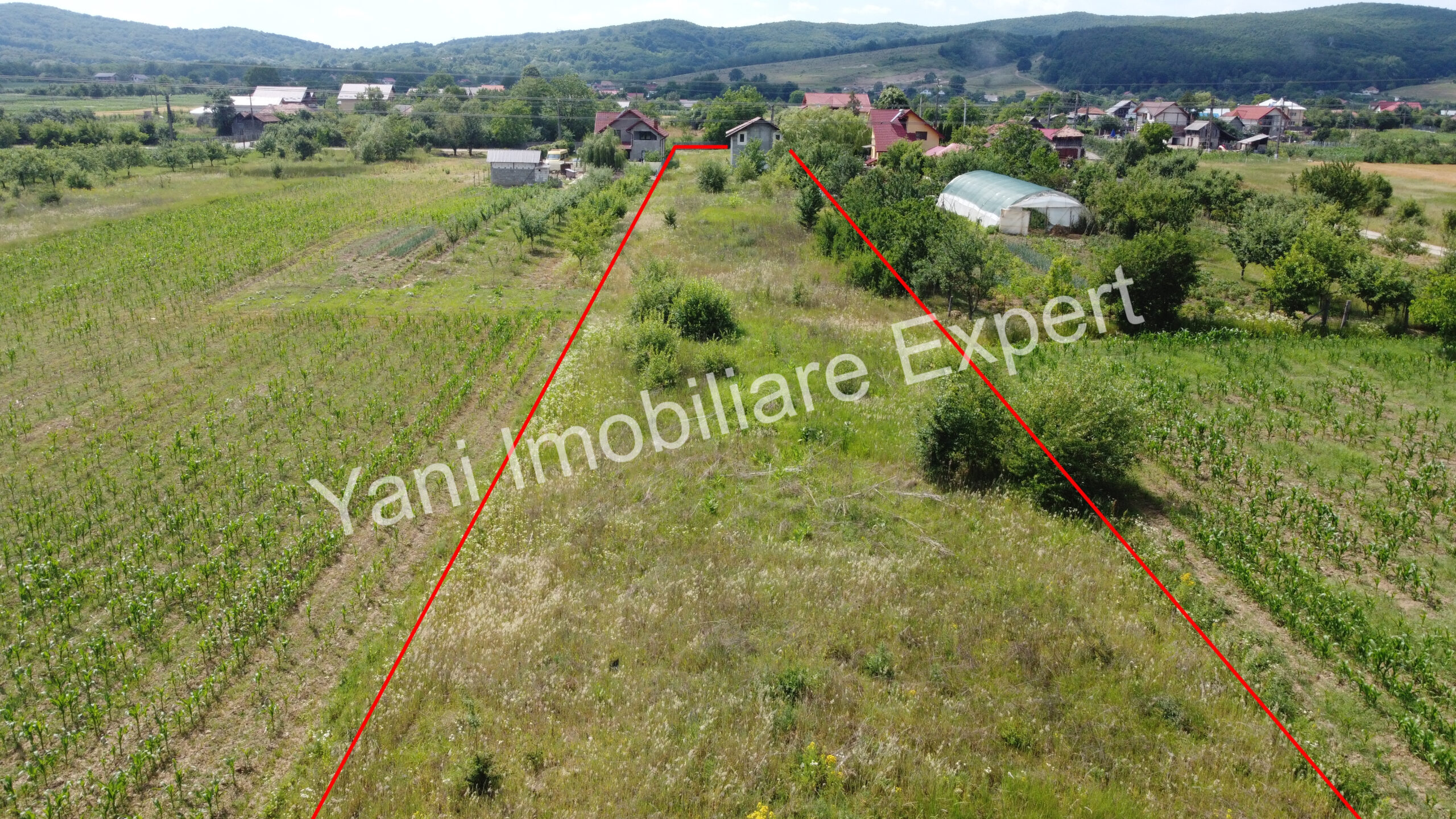 DJI_0159