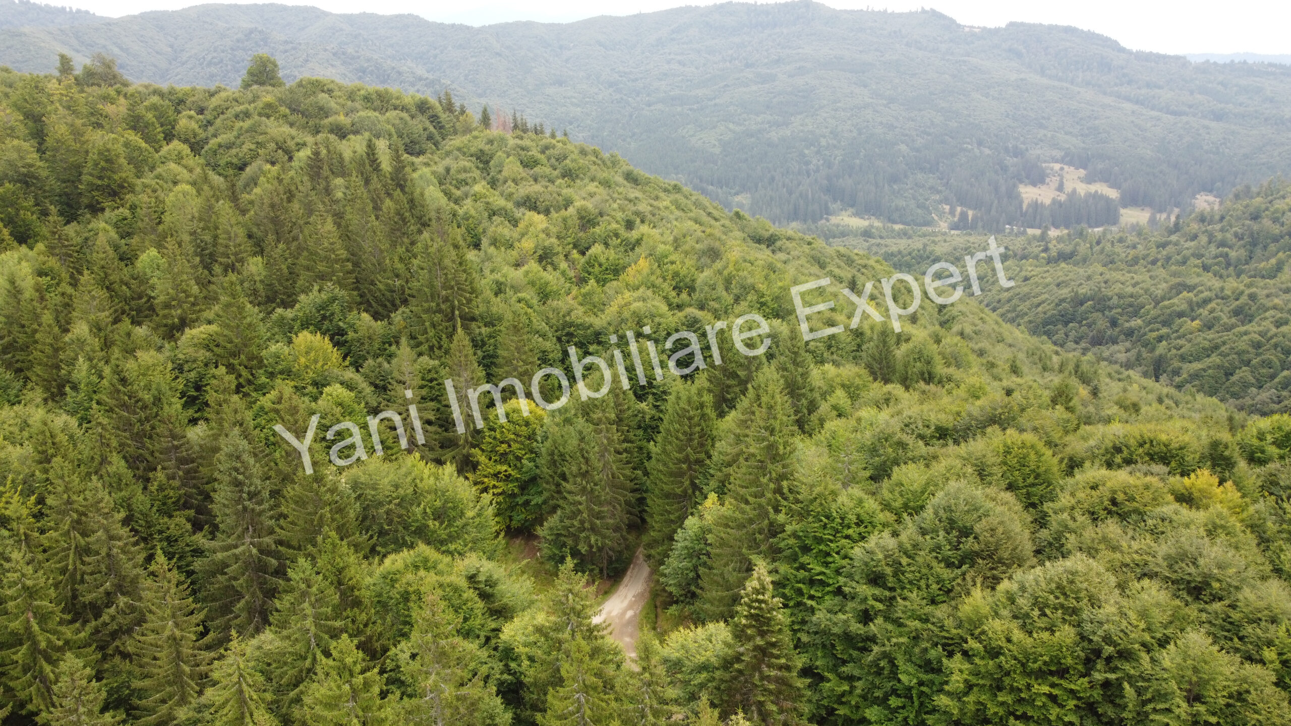 DJI_0691