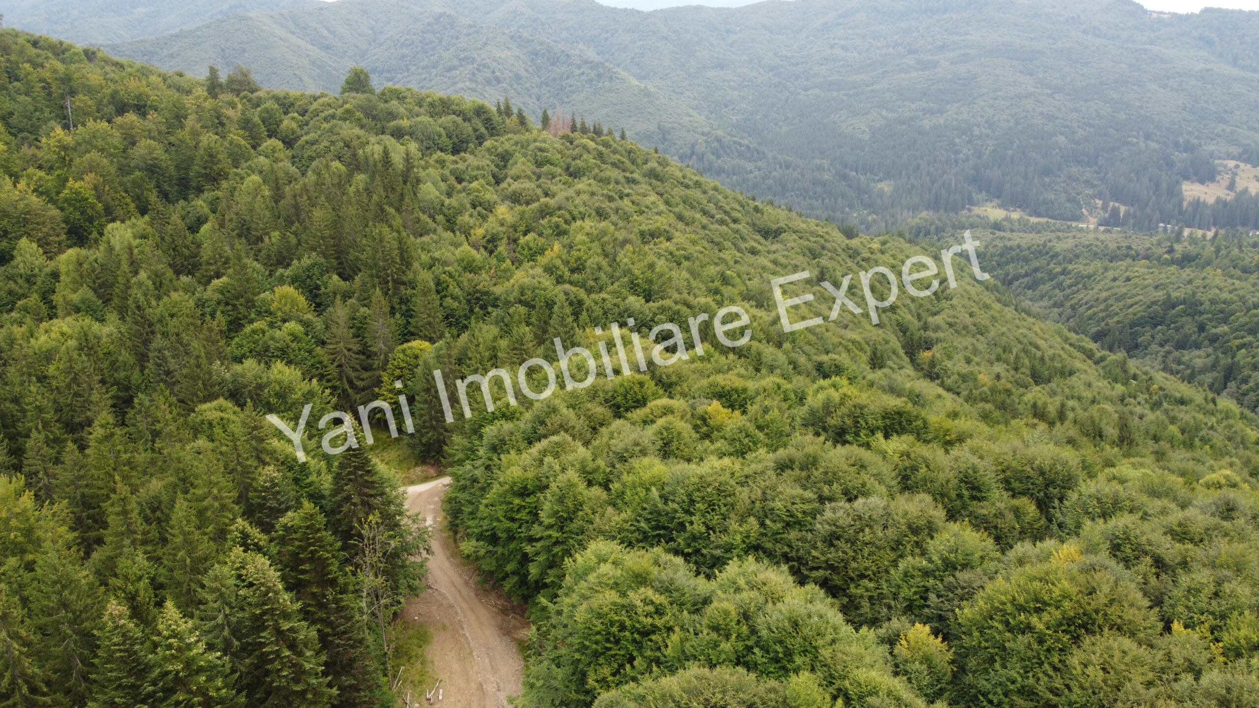 DJI_0692