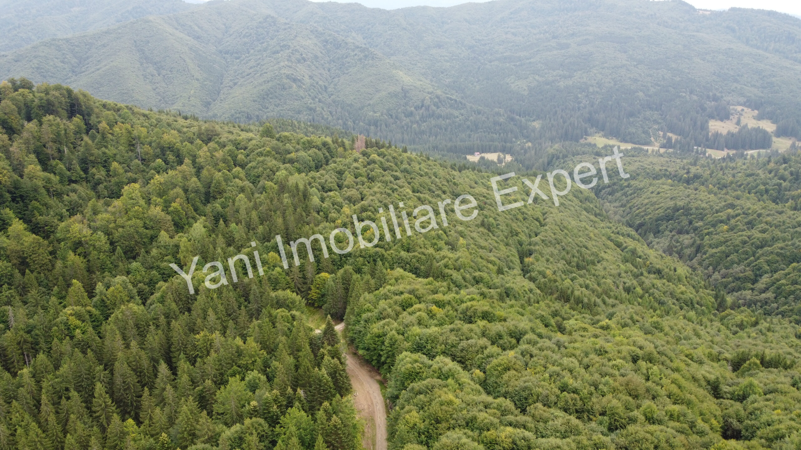 DJI_0693