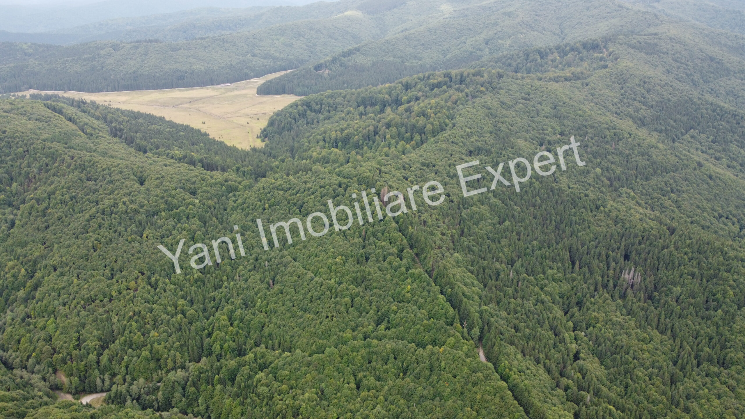 DJI_0695