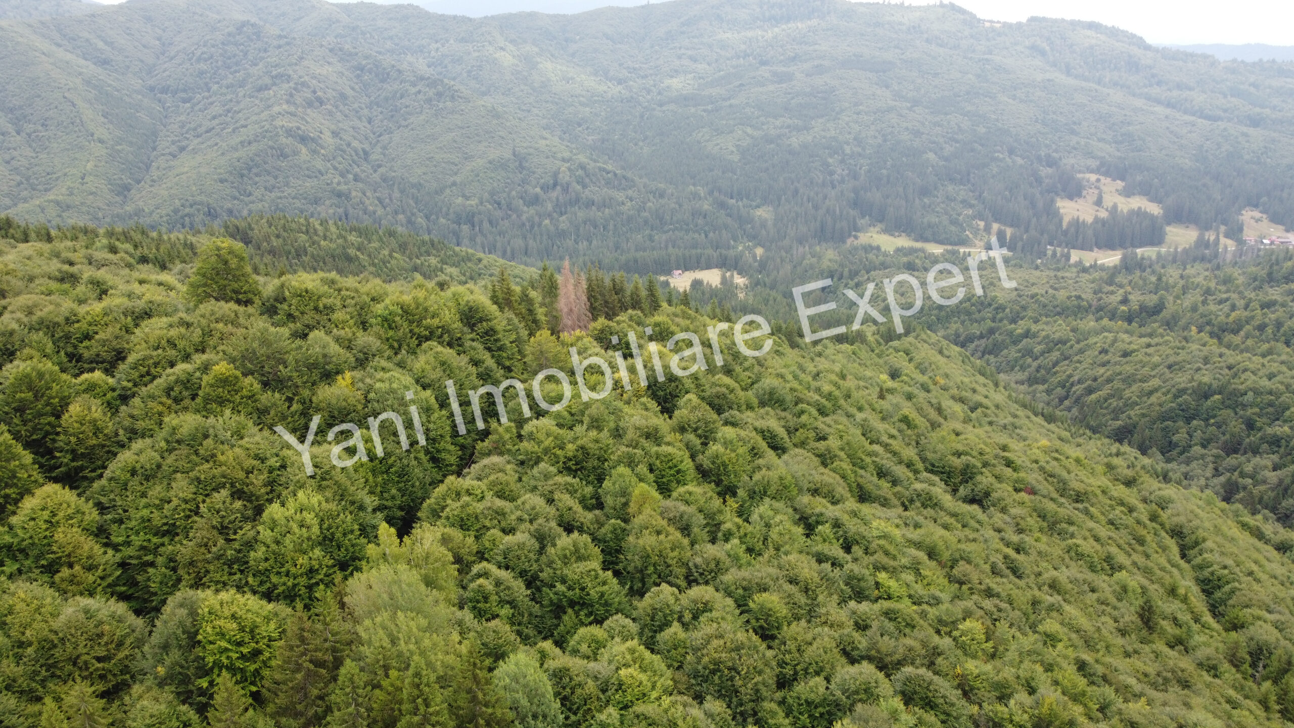 DJI_0701
