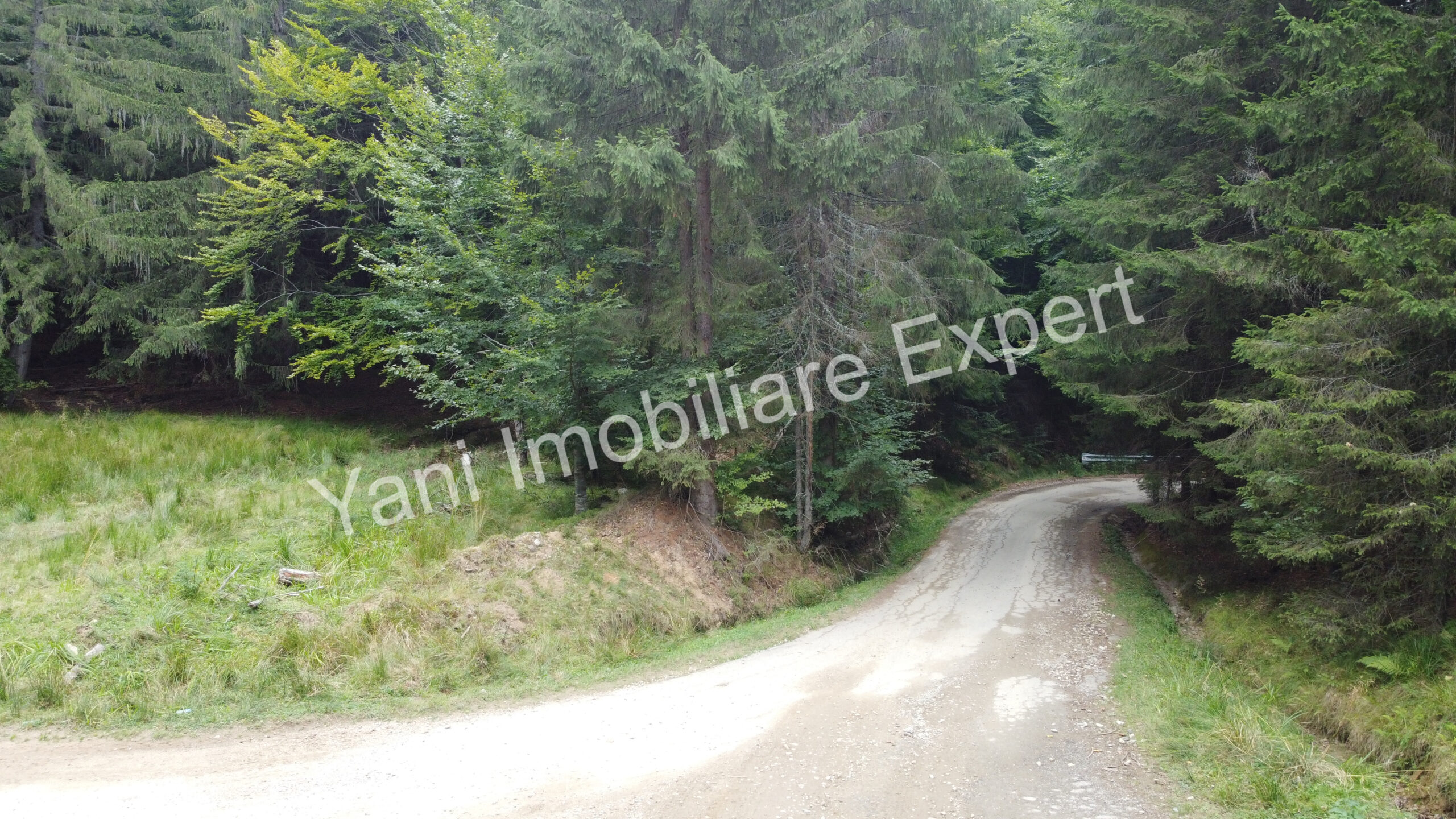 DJI_0702