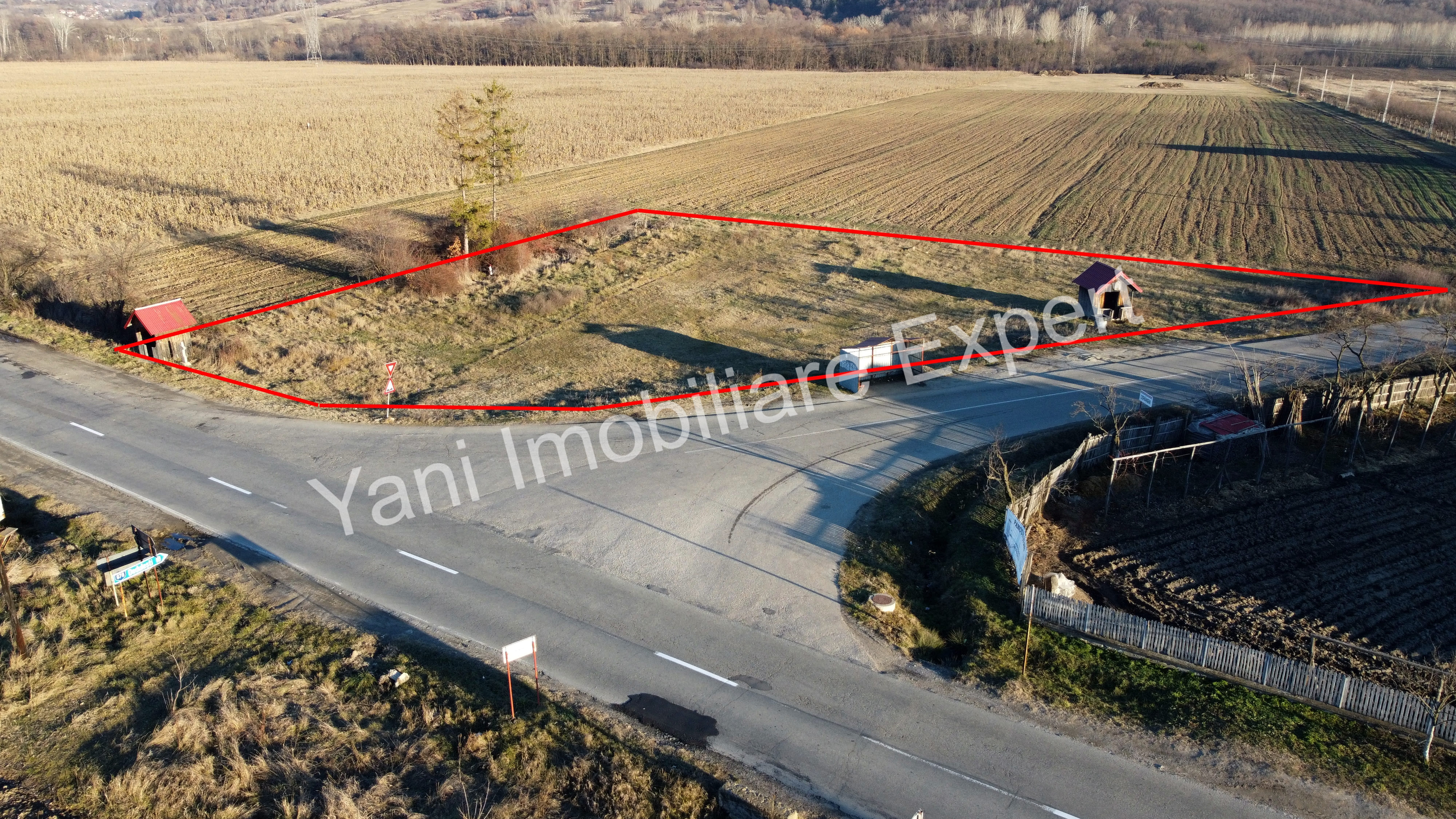 DJI_0520