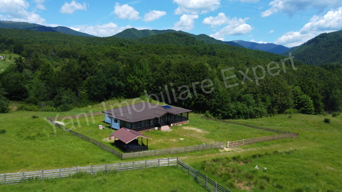 DJI_0671