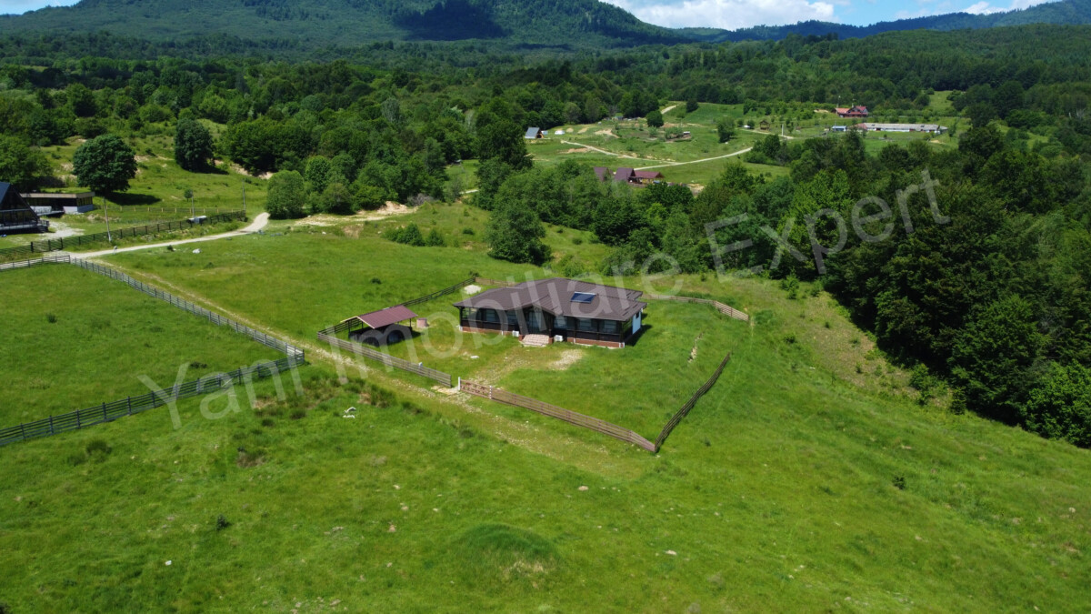 DJI_0674