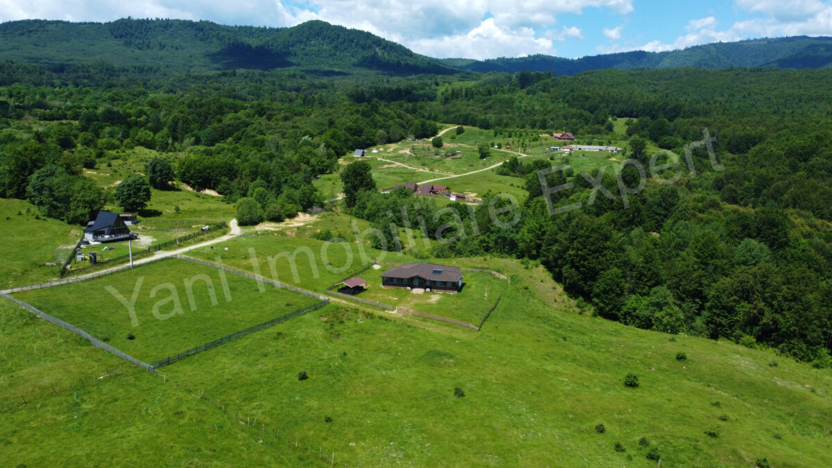 DJI_0675