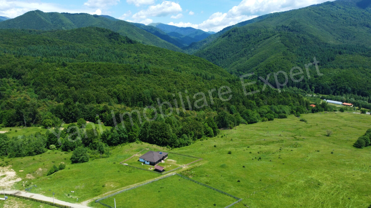DJI_0678