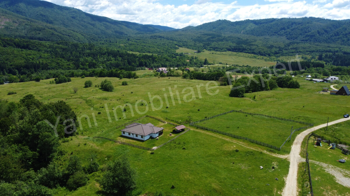 DJI_0684