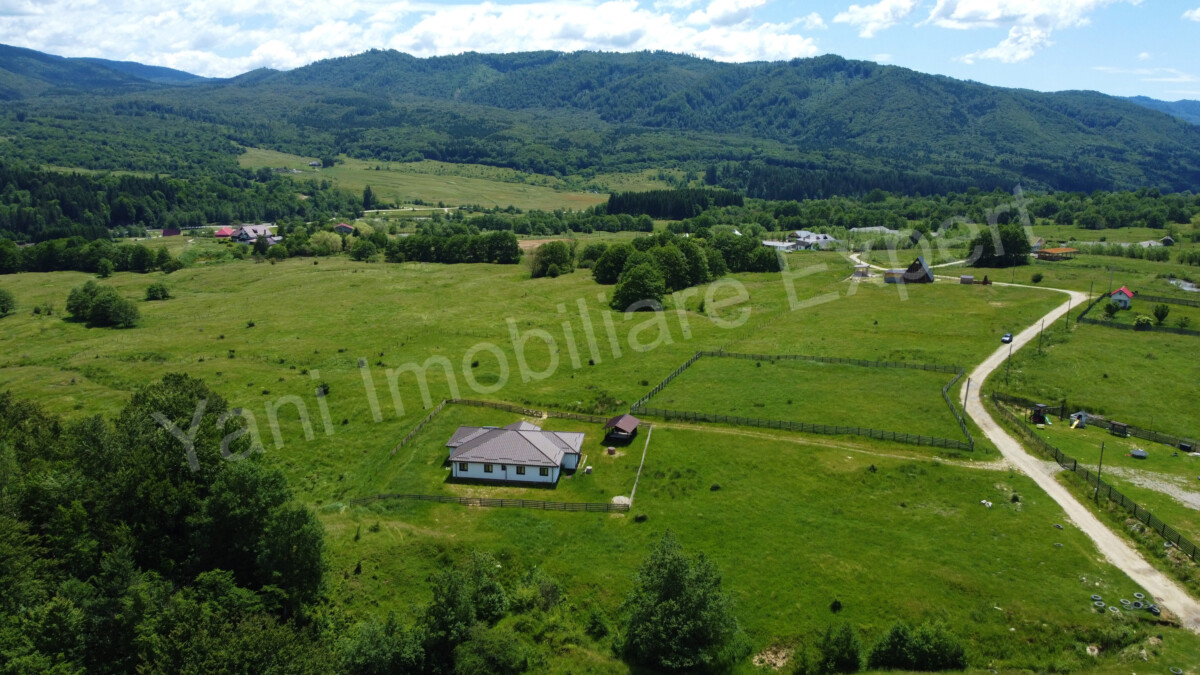 DJI_0685