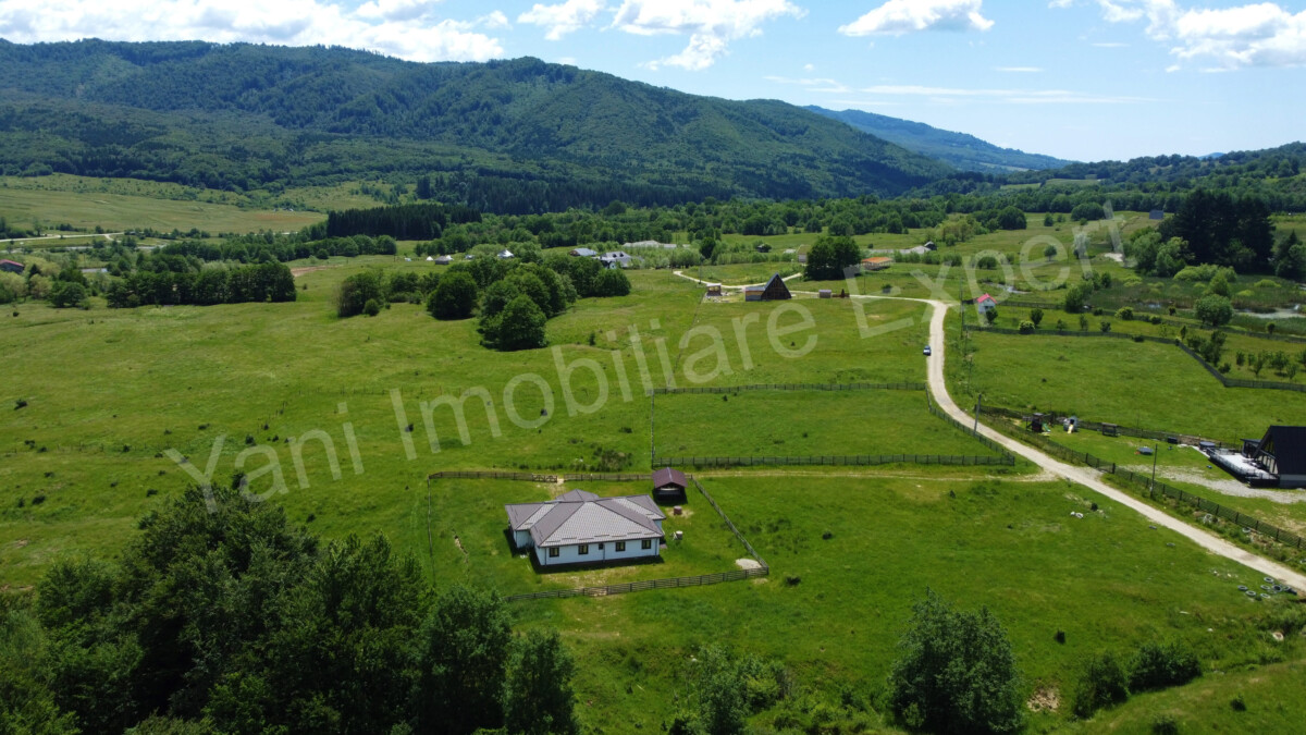 DJI_0686