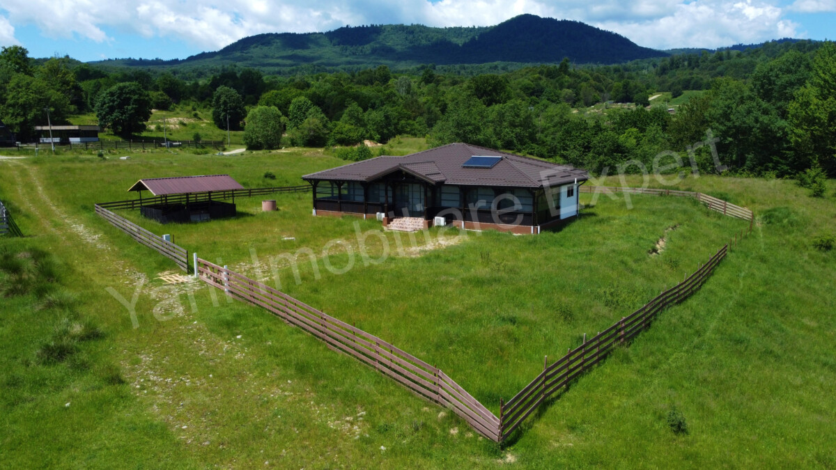 DJI_0689