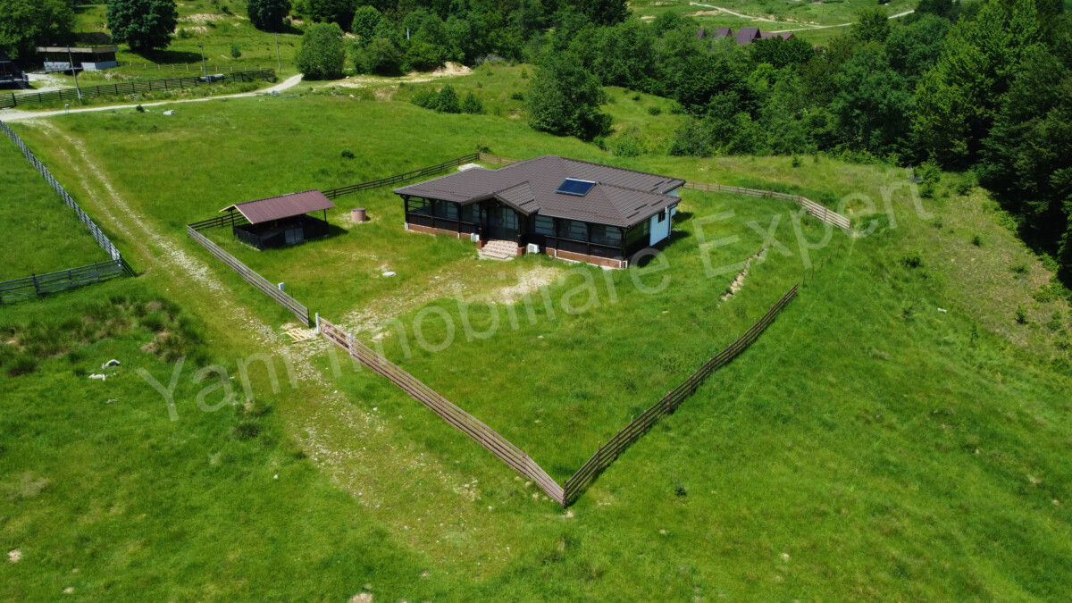 DJI_0696