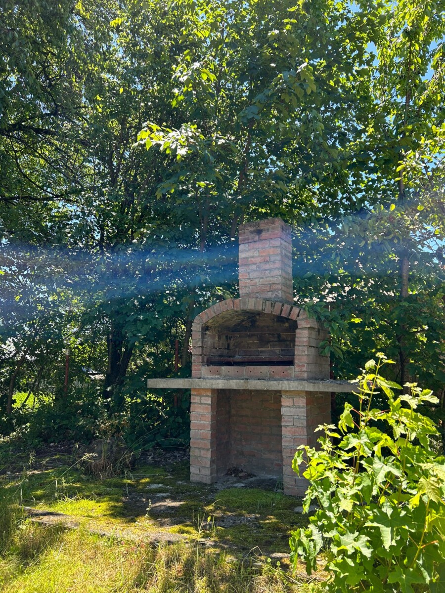 41