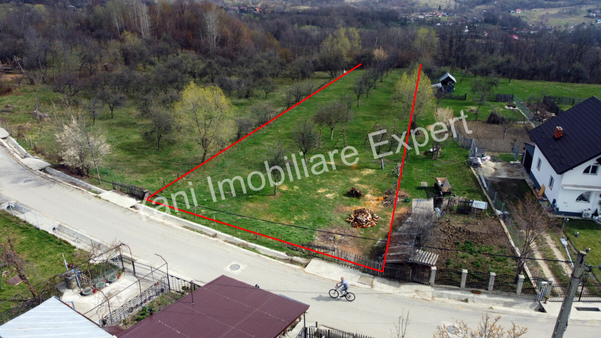 DJI_0523