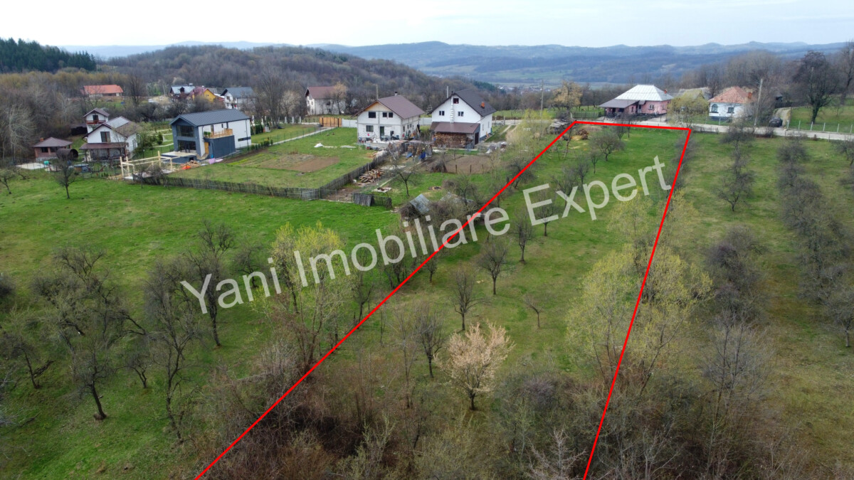 DJI_0528