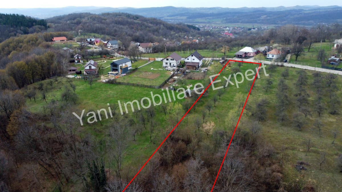 DJI_0529