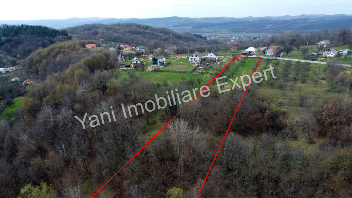 DJI_0530