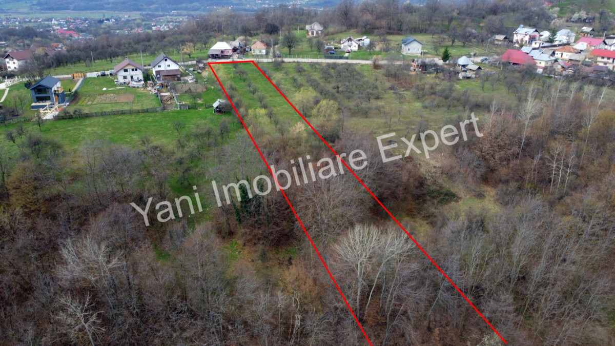 DJI_0531