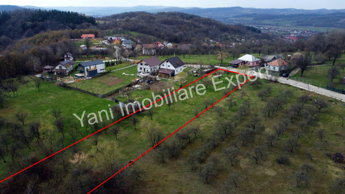 DJI_0532