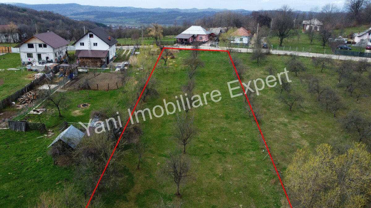 DJI_0533