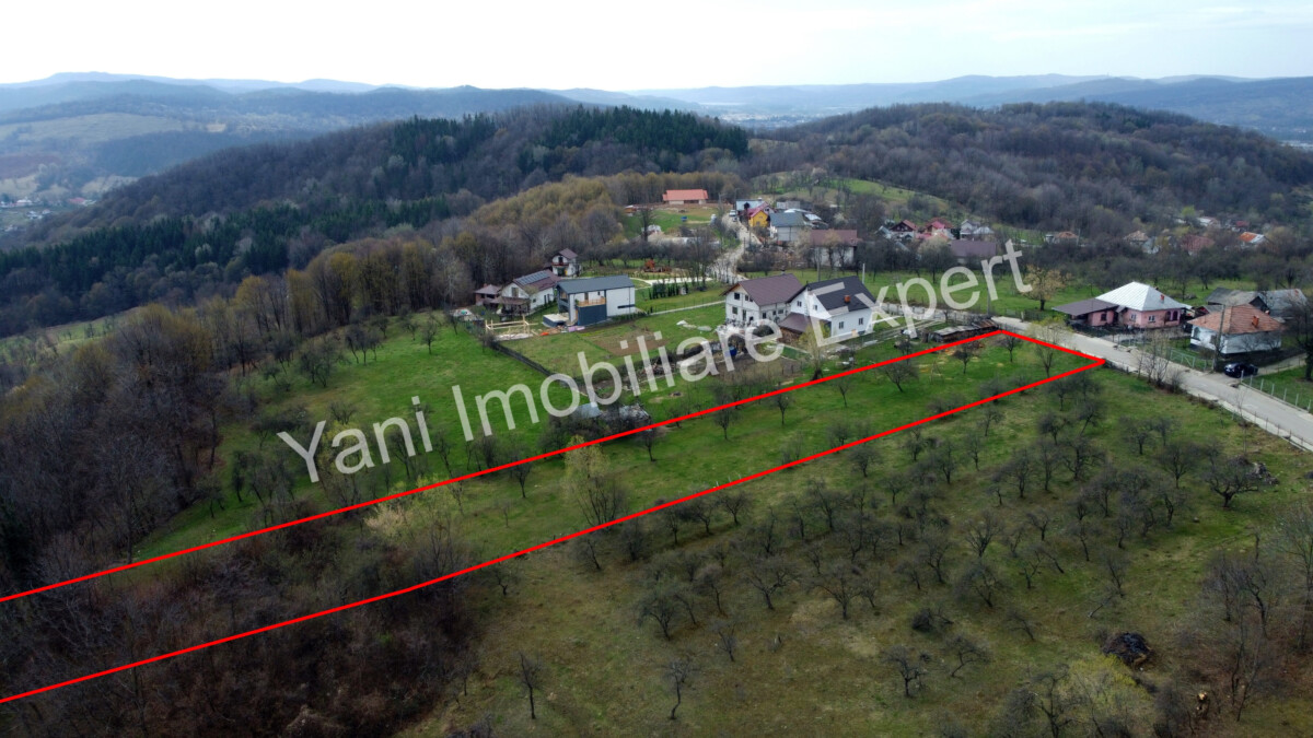 DJI_0534