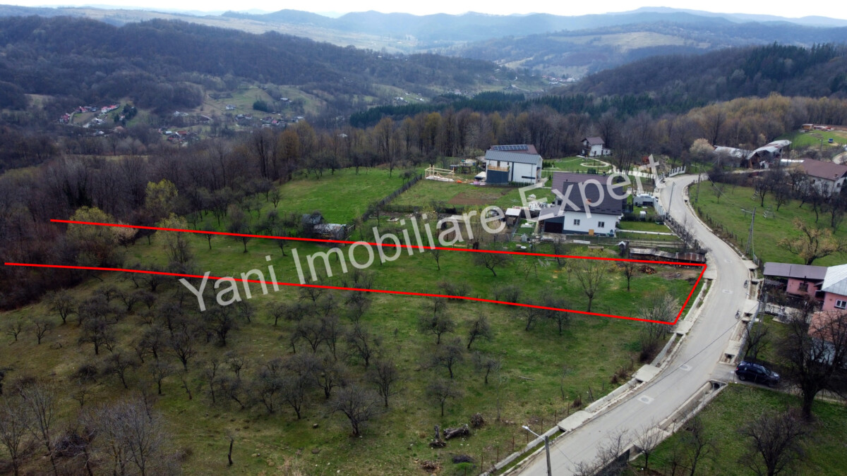 DJI_0535