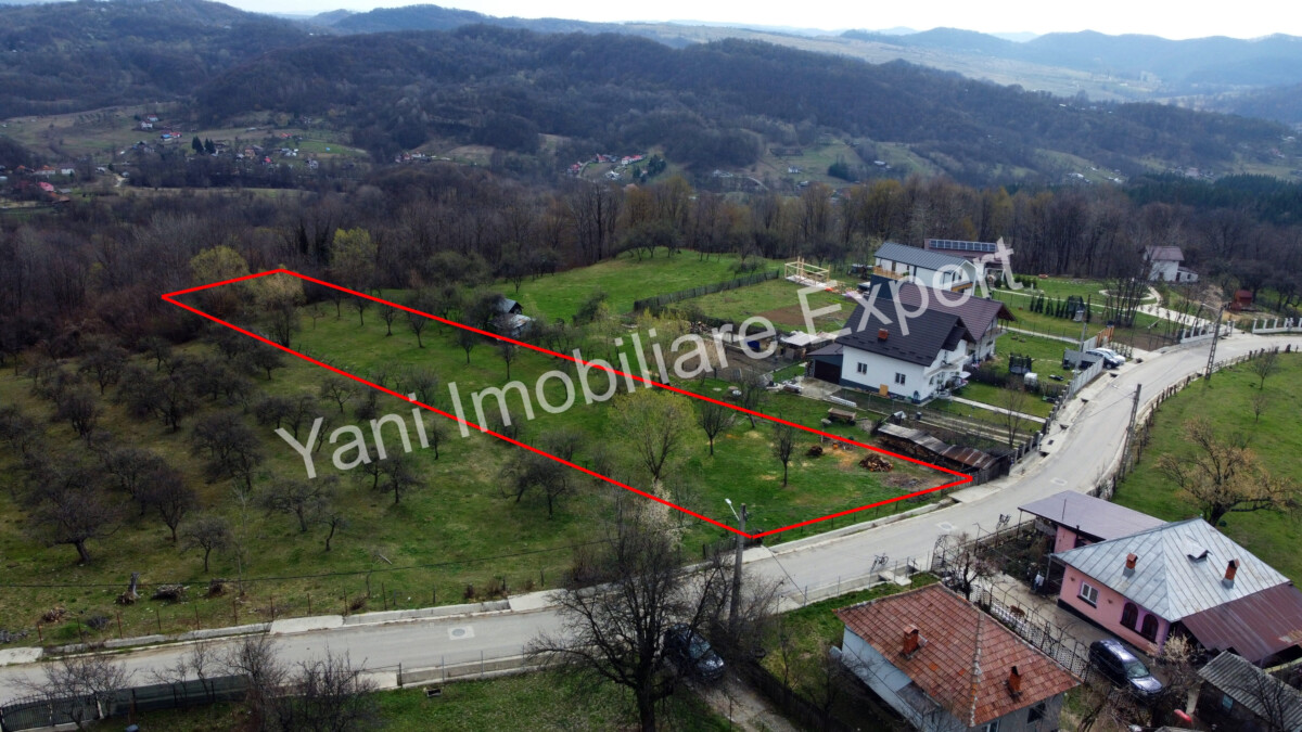DJI_0536