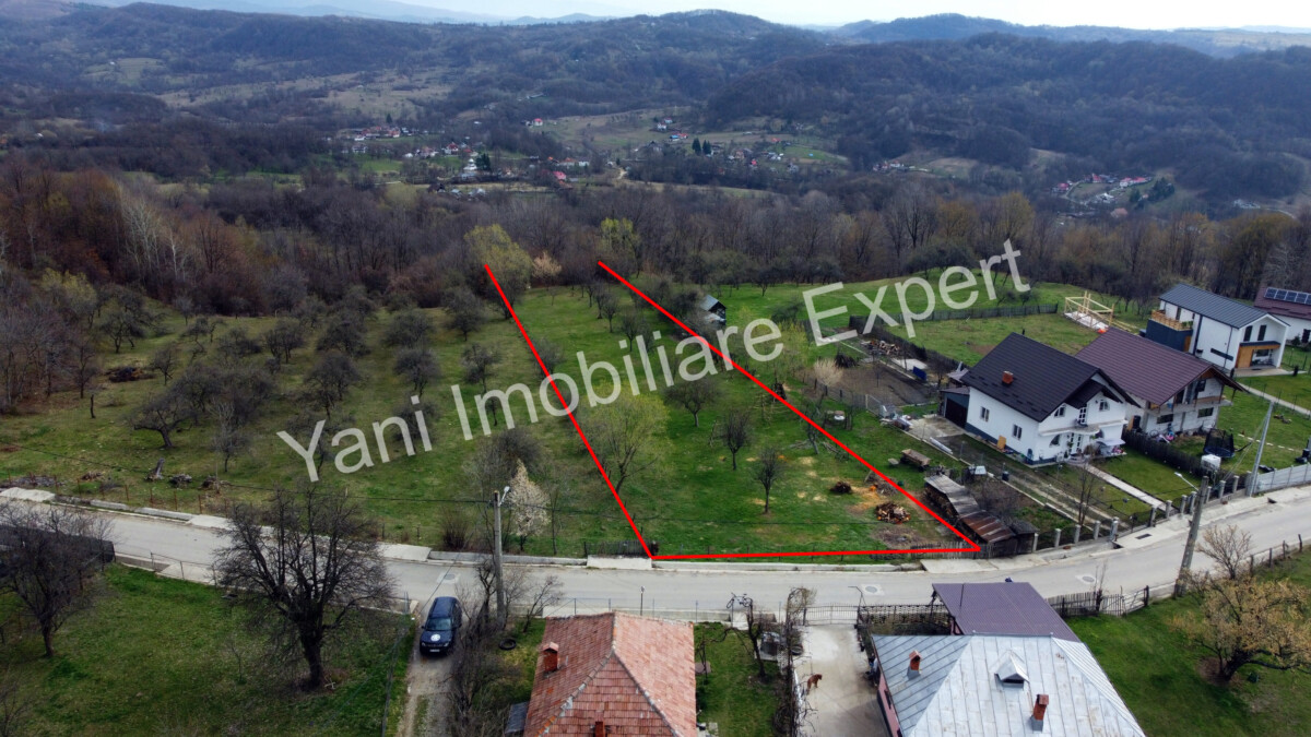 DJI_0537